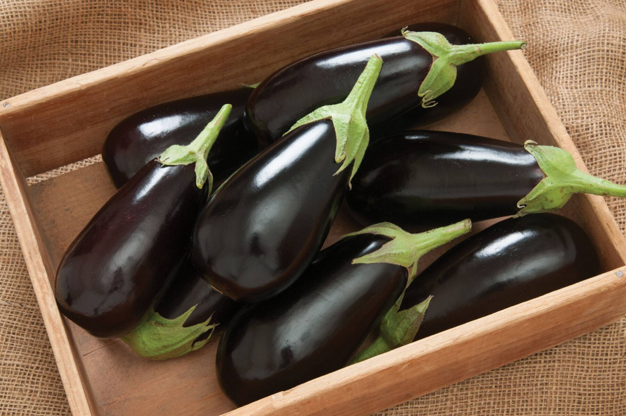 خرید و قیمت انواع بادمجان + فروش عمده